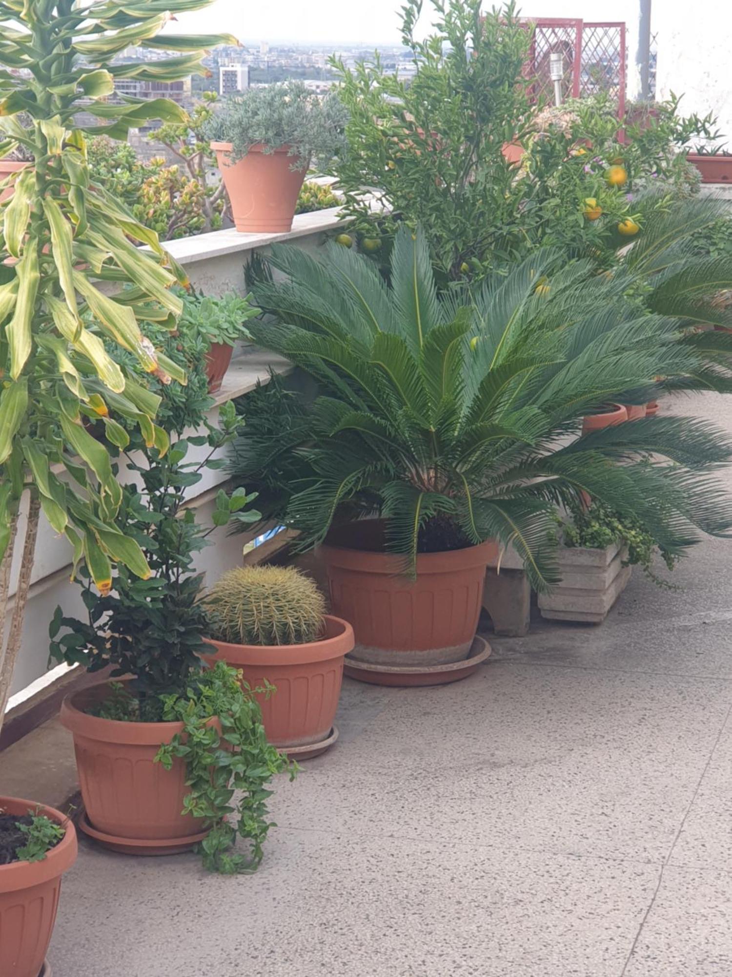 B&B Ganaj La Terrazza Di Ganaj Bari Bagian luar foto